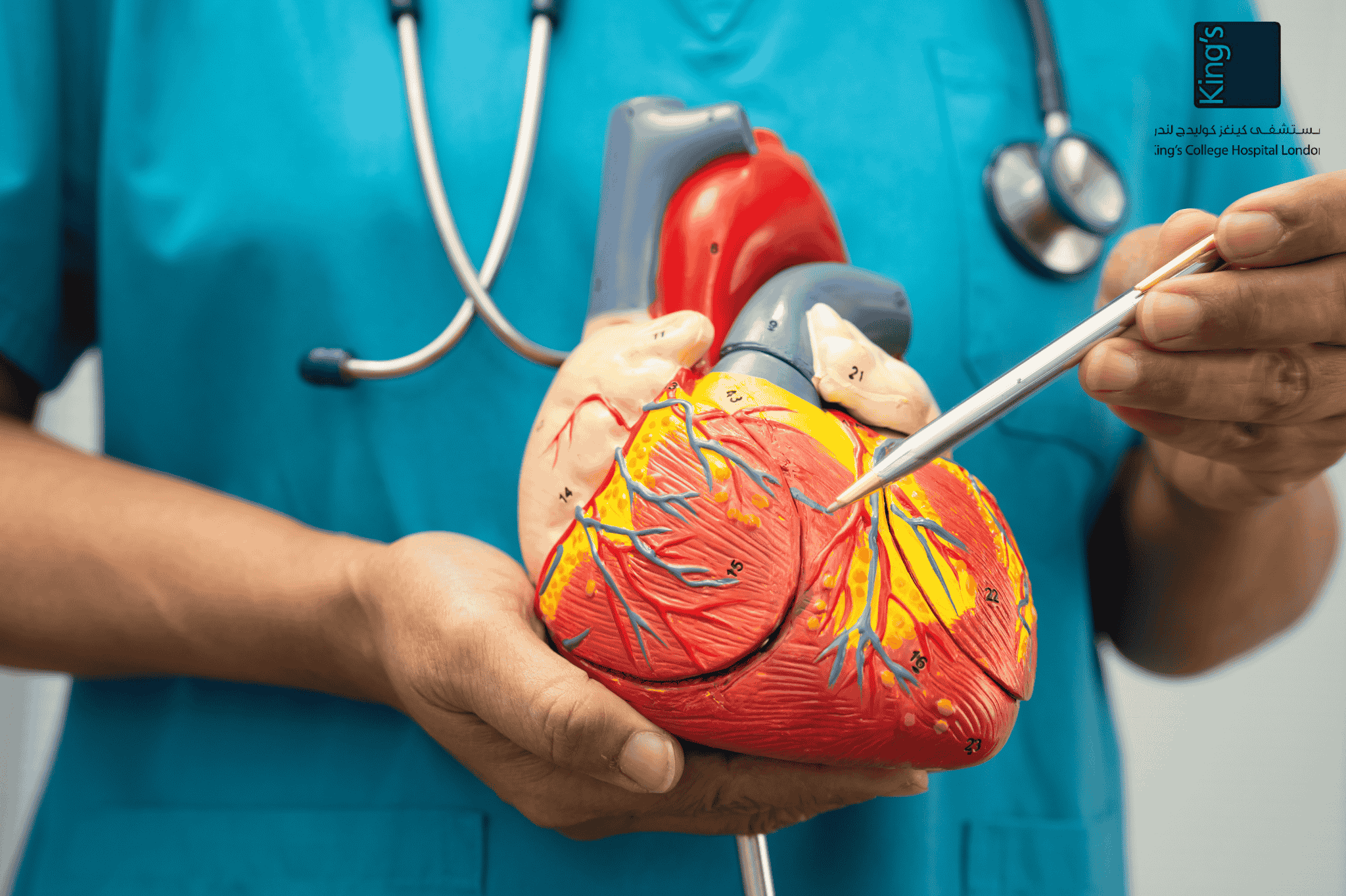 Cardiovascular disease